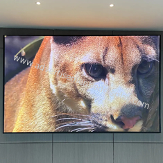 320mmx160mm Indoor Advertising LED Screen Bahan Lemari Aluminium Besi / Die-casting